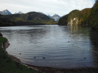 Alpsee 